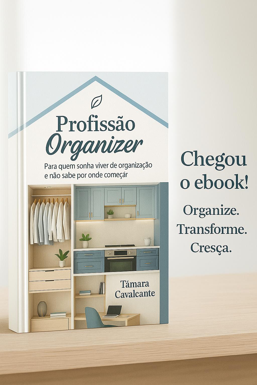 eBook Profissão Organizer - Capa em destaque